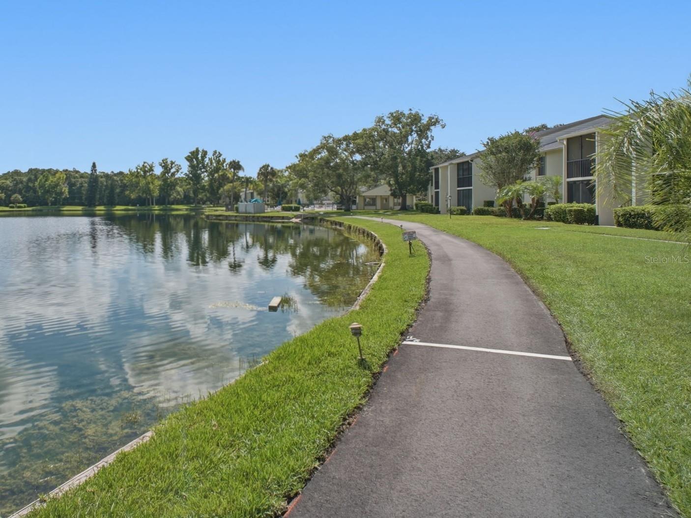 PINE RIDGE AT LAKE TARPON VILLAGE - Residential