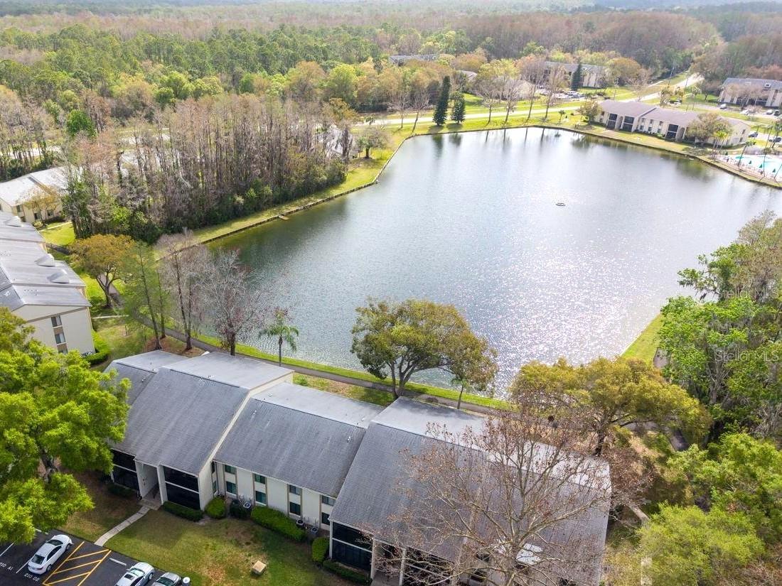 PINE RIDGE AT LAKE TARPON VILLAGE - Residential