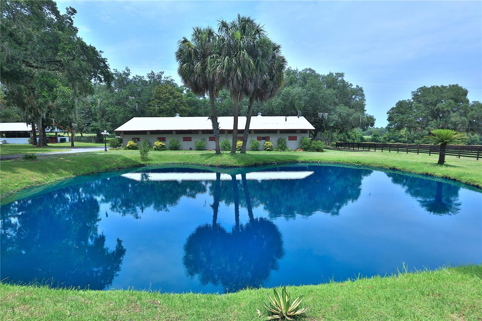 "Unique Equestrian Estate” This turn-key equestrian facility is nestled on 47+/- acres and is a dream come true for horse enthusiasts and professional trainers alike. Boasting 5 barns with 56 stalls, 10 spacious paddocks, a gallop track, a round pen, and a breeding shed, this property offers the perfect setting for equestrian amenities. The primary residence features 3 bedrooms, 2 baths, and a stunning open floor plan. While the residence has been recently remodeled, including a new roof. The estate also includes a spacious pool, picturesque farm views, and additional amenities such as a professional dog washing station, 3-bedroom employee housing, and an equipment building with covered parking. High-speed internet with repeaters throughout the property ensures connectivity. With mature landscaping, beautiful Oaks, and verdant pastures, this farm is the epitome of tranquility. Ideally located just 15 miles from the World Equestrian Center, this exceptional facility offers unparalleled functionality and convenience.