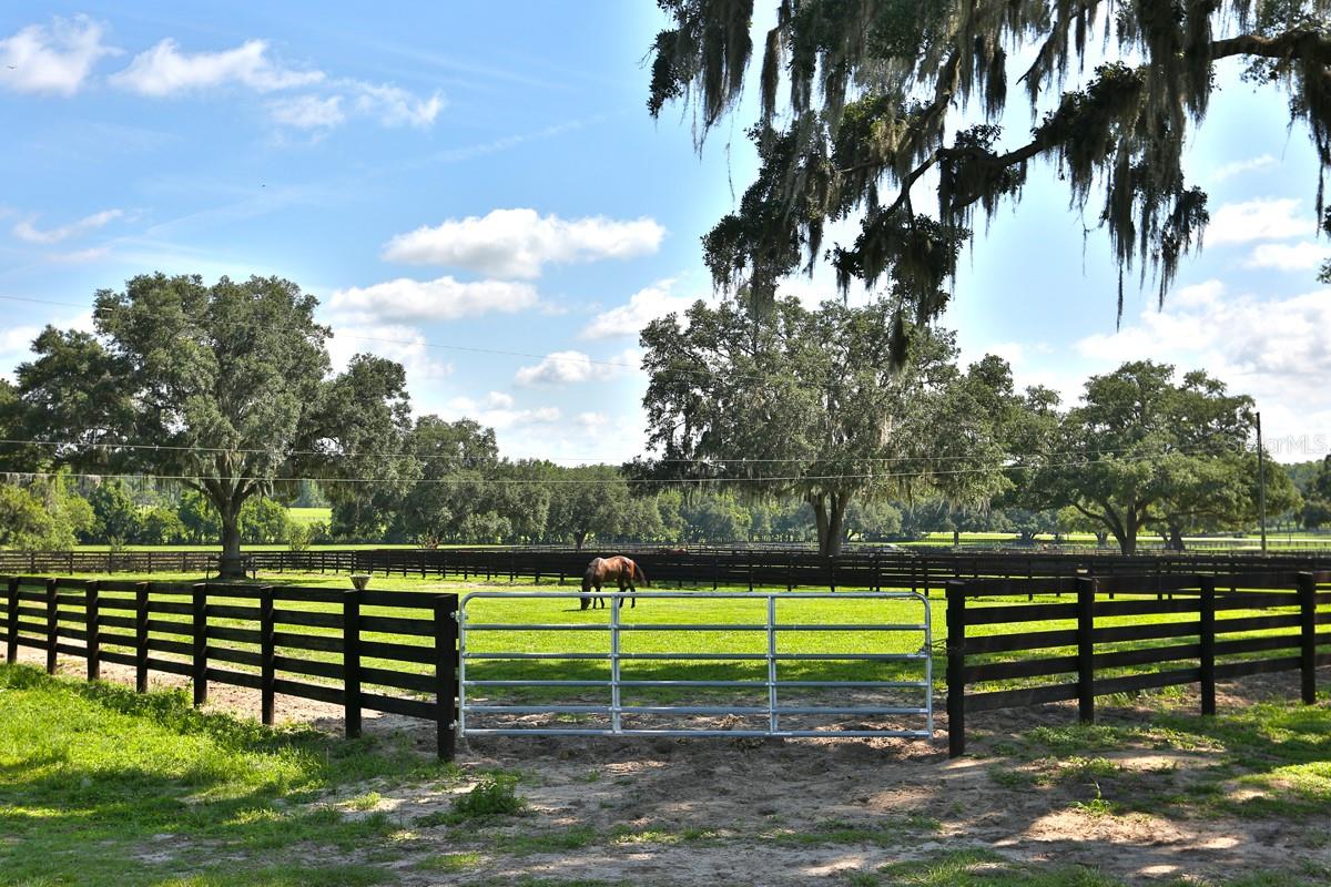 MEFFERET FARM DEVELOPMENT - Residential
