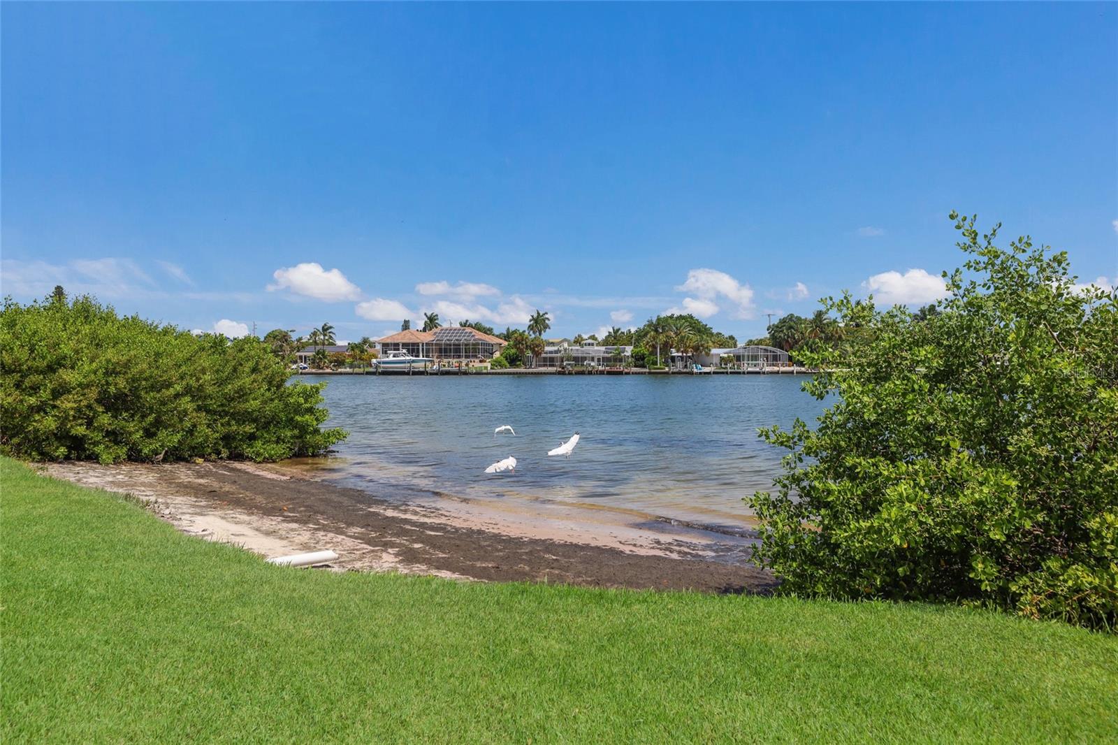 SHELL POINT - Residential