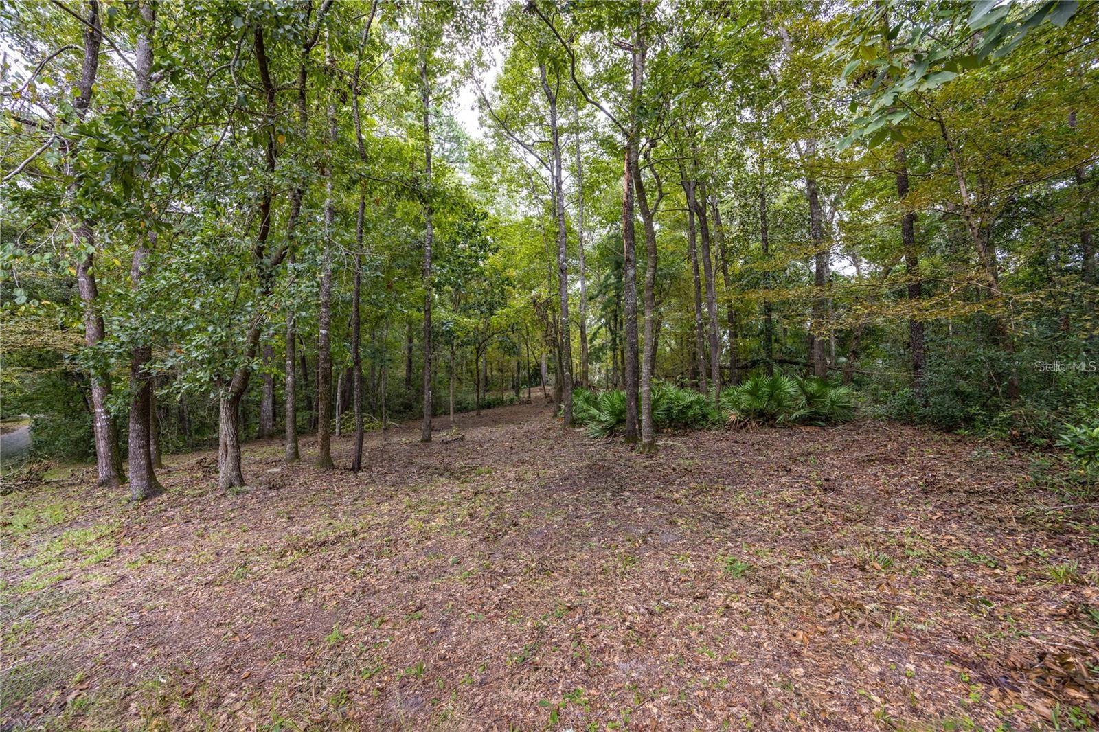 PELHAM PLACE - Land