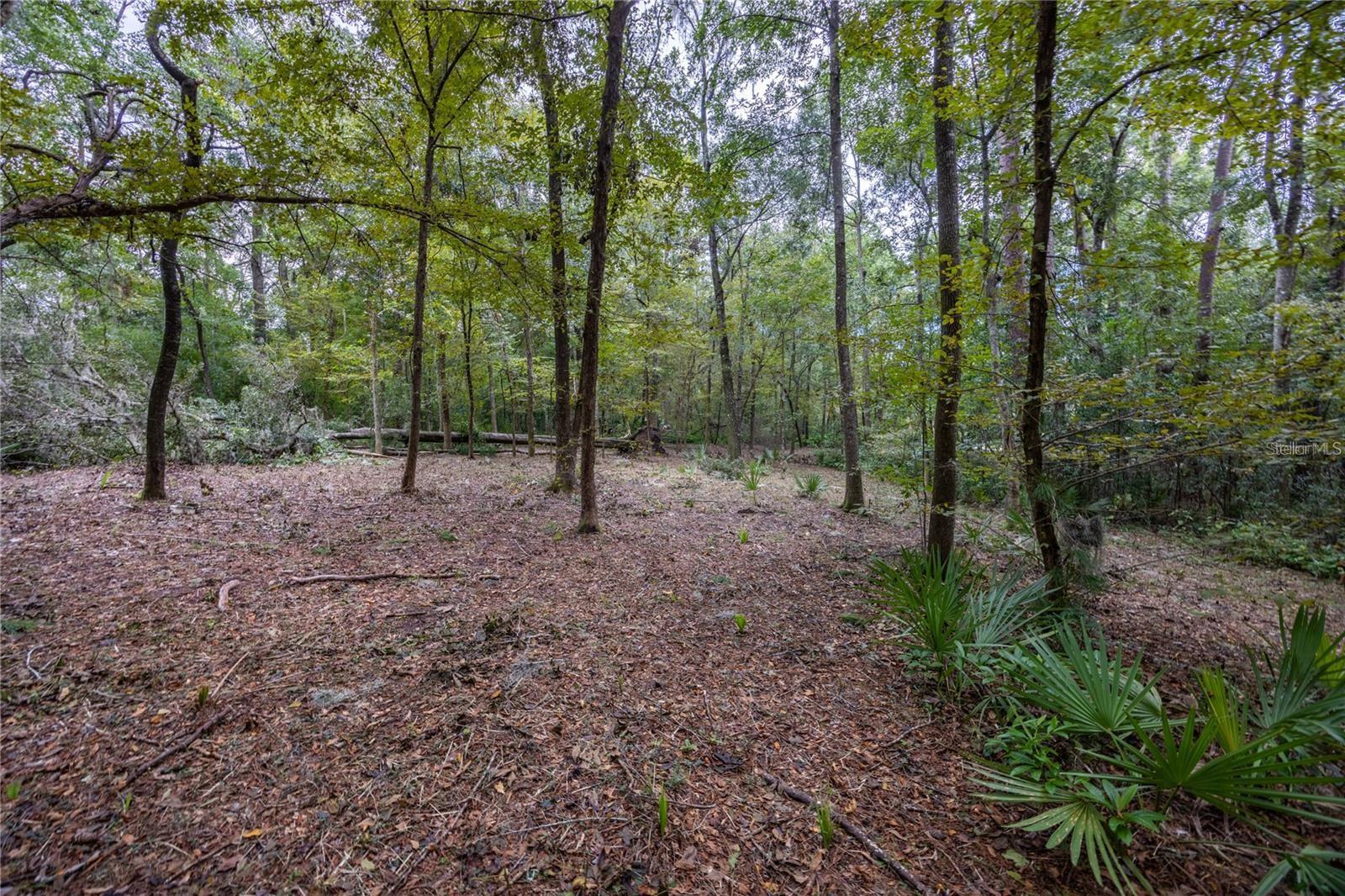 PELHAM PLACE - Land