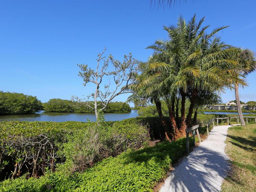 PELICAN COVE XVI - Residential
