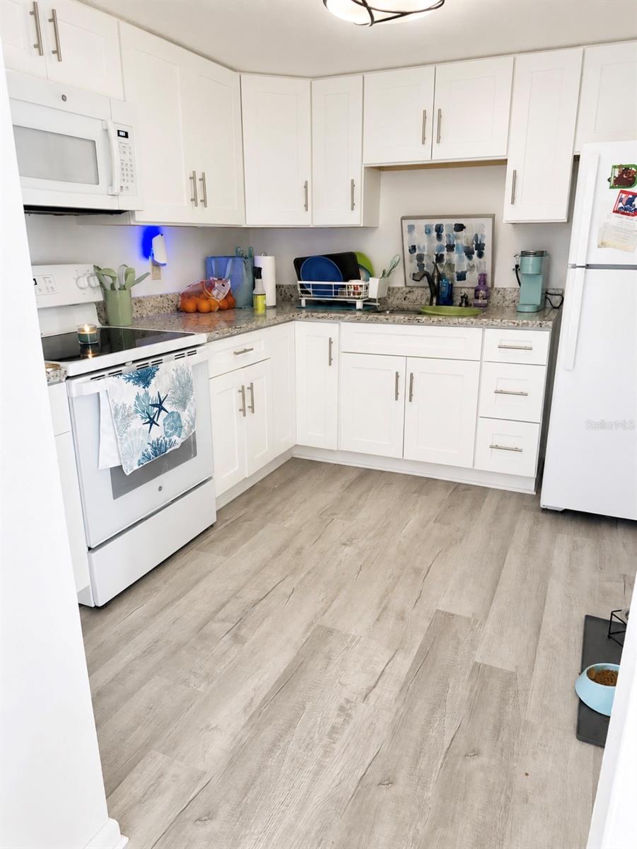 FAIRWAYS/SILVER SPGS SHORES - Residential