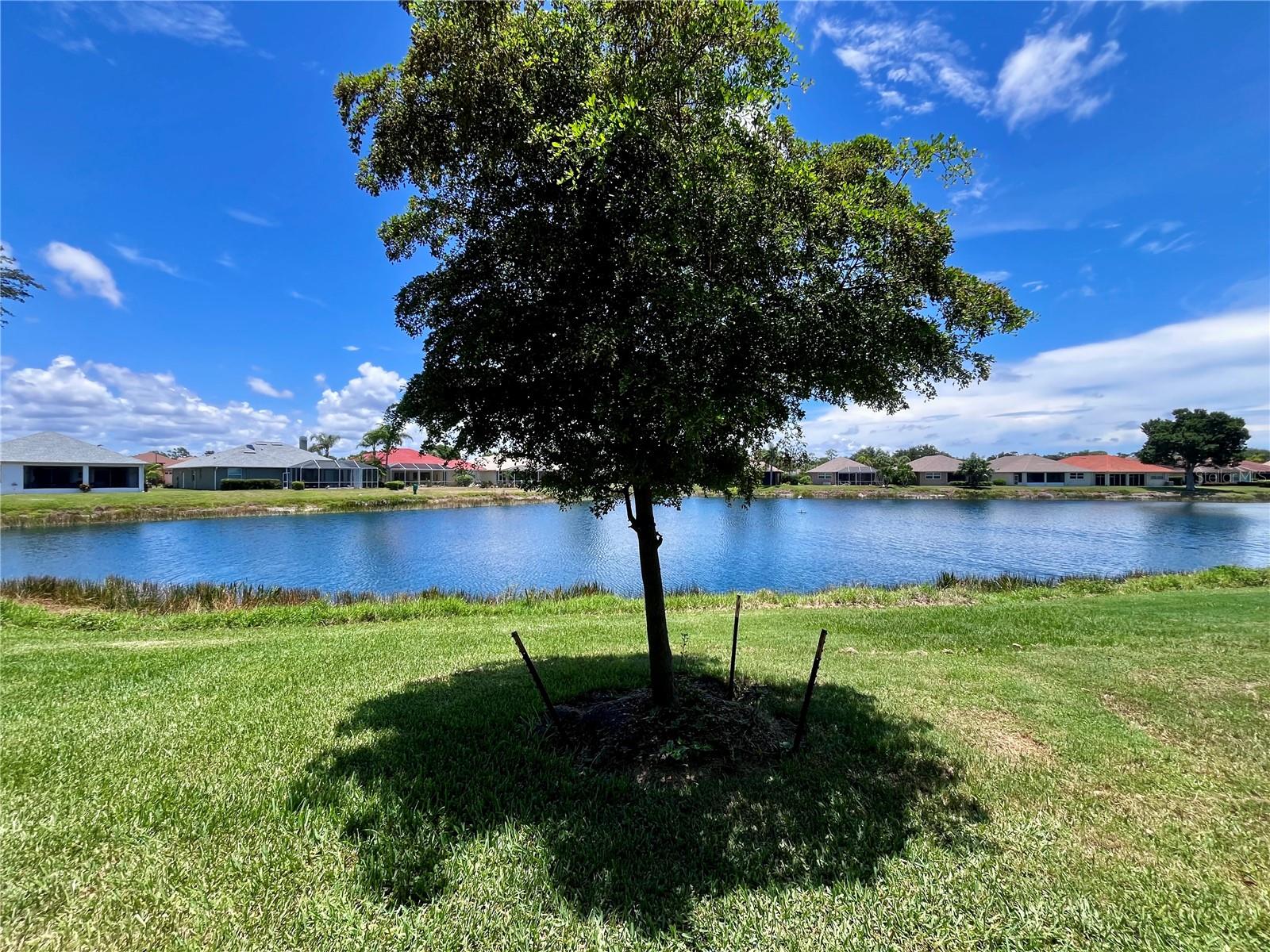 OAK FOREST PH 2 - Residential