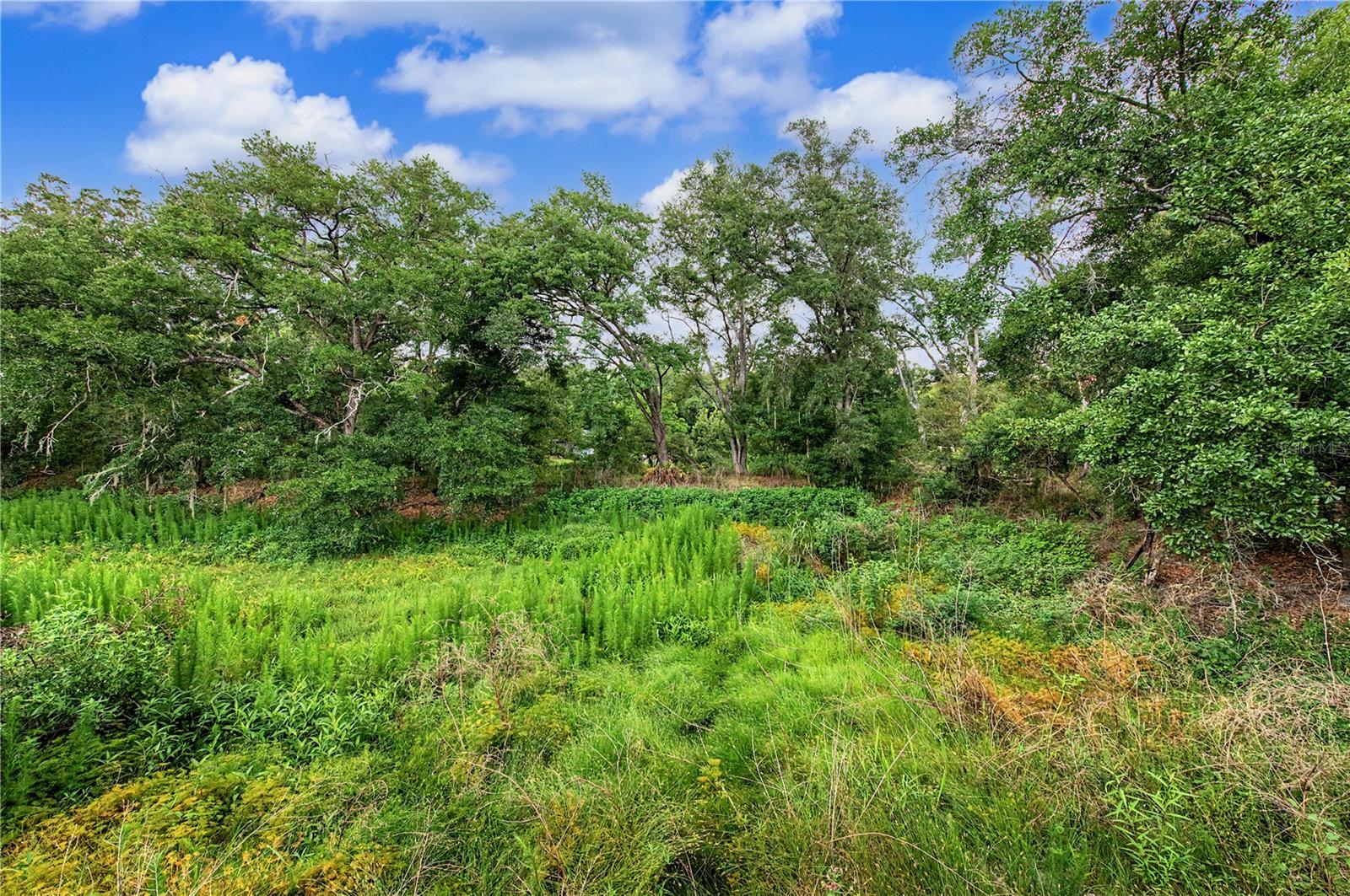 LIVINGSTON ACRES - Residential