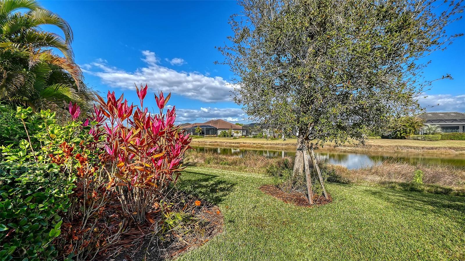 LEGACY ESTATES ON PALMER RANCH - Residential