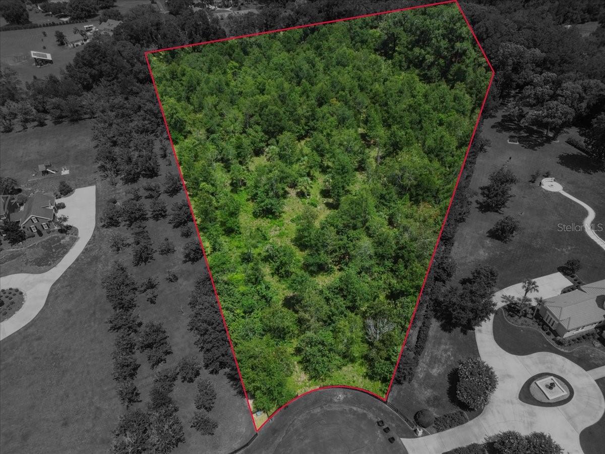 Build your dream home on this exceptional 5-acre homesite located in The Grove, one of Newberry's most desirable gated communities. Offering a rare combination of privacy, space, and convenience, this beautiful parcel provides the perfect setting for a custom estate surrounded by other high-end homes on generous acreage lots.

With ample room for a custom residence, pool, detached garage, or additional outdoor living space, you'll have the flexibility to create a property tailored to your lifestyle. Enjoy the peace and privacy of acreage living without sacrificing convenience, with shopping, dining, top-rated schools, and Gainesville just a short drive away.

Opportunities to purchase acreage within The Grove are limited. Whether you're ready to build now or looking to secure a premier homesite for the future, this property offers an outstanding opportunity in one of the area's most sought-after gated communities.