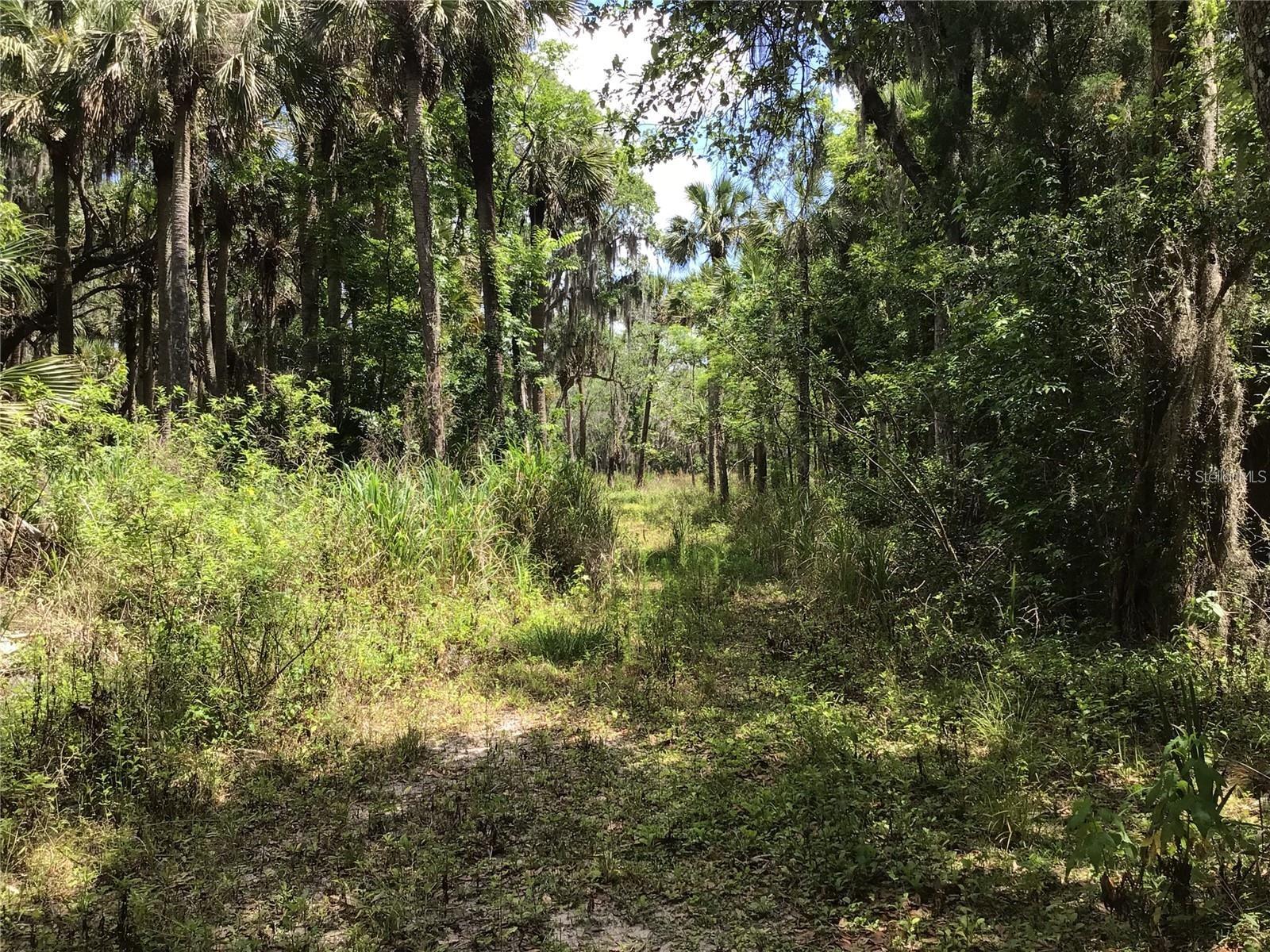 SANFORD - Land
