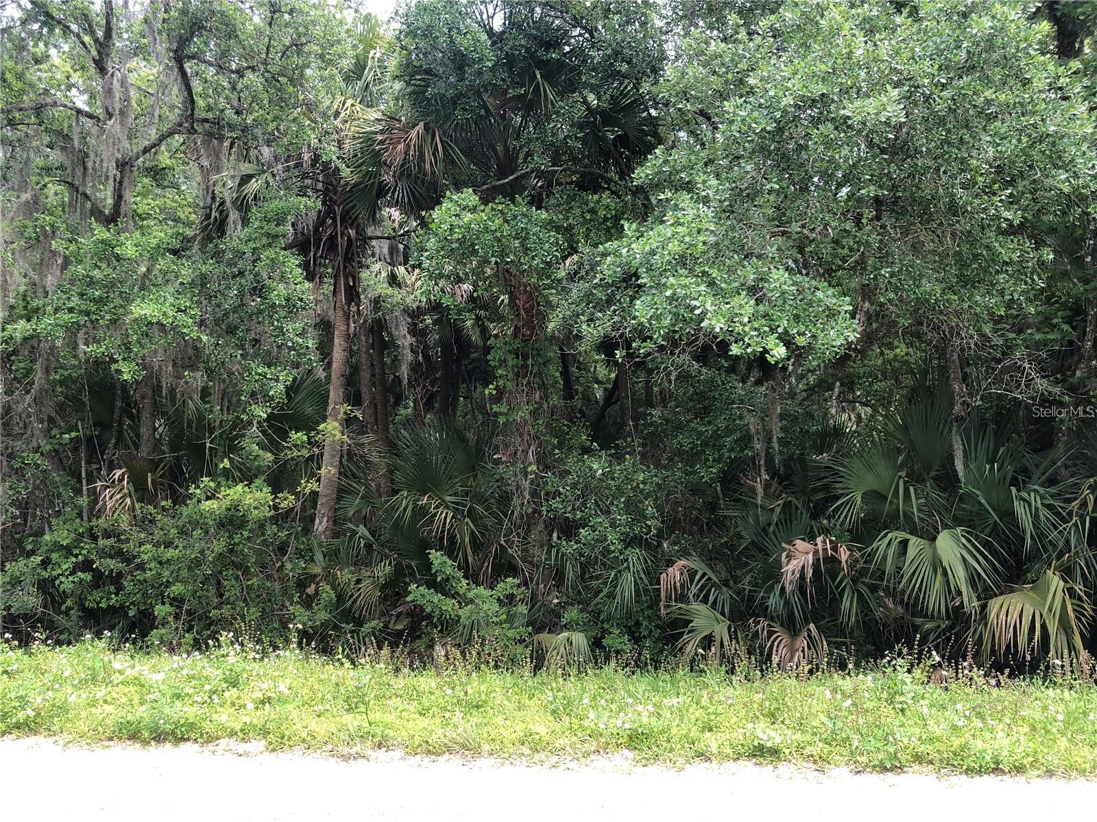 SANFORD - Land