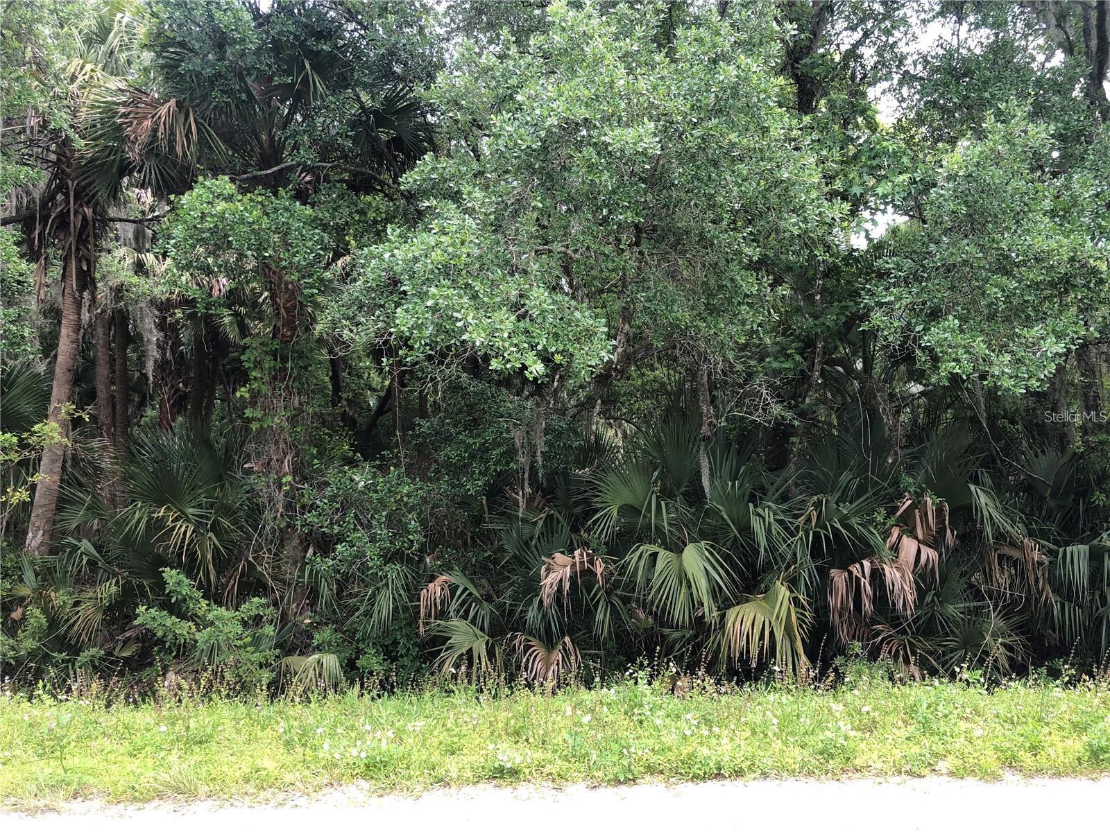 SANFORD - Land