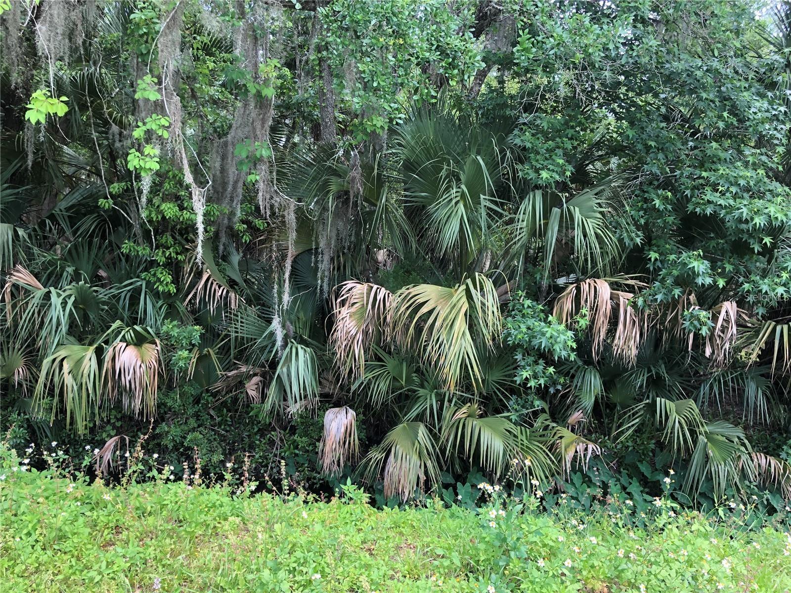 SANFORD - Land