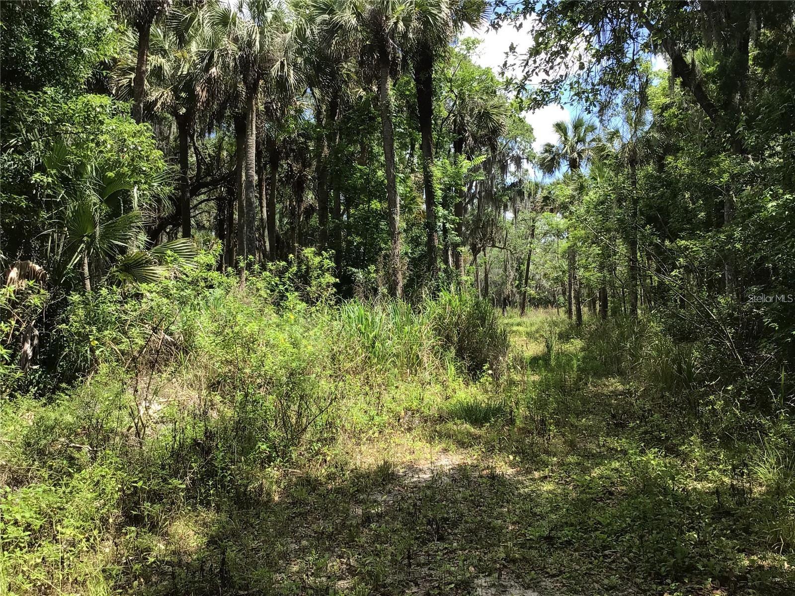 SANFORD - Land