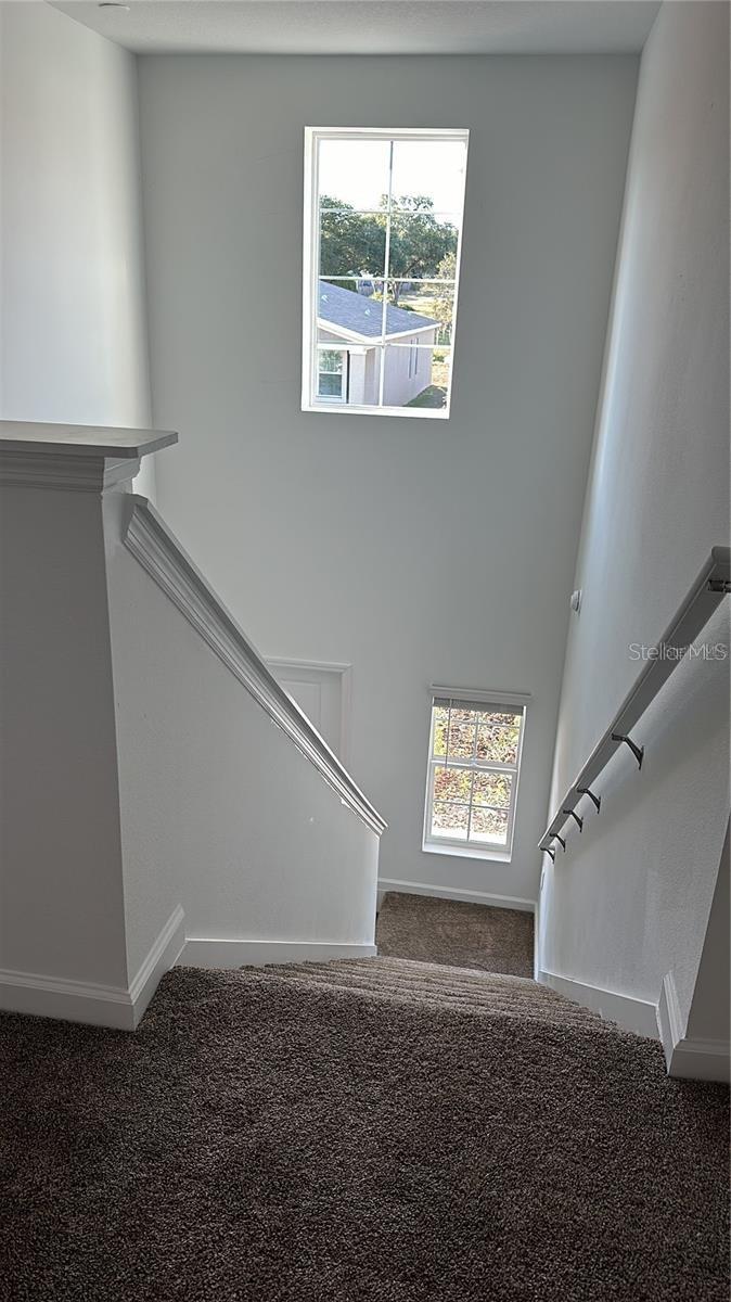 CASCADES PH 2 - Residential Lease