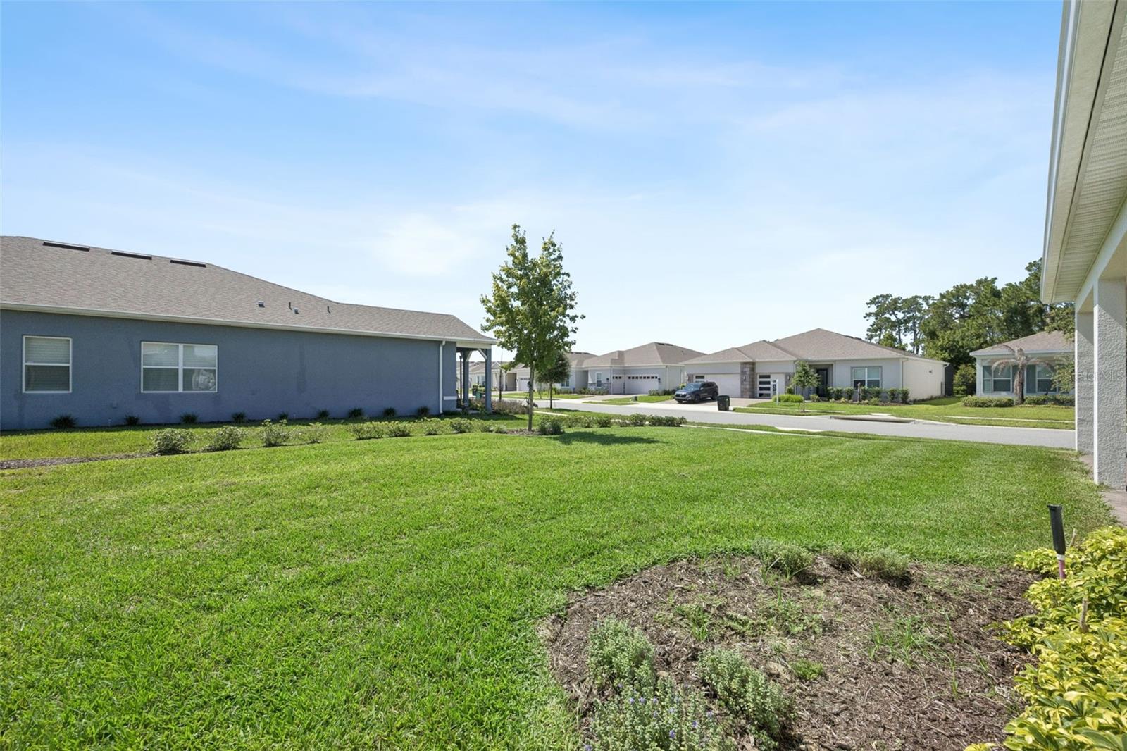 DEL WEBB OASIS - Residential
