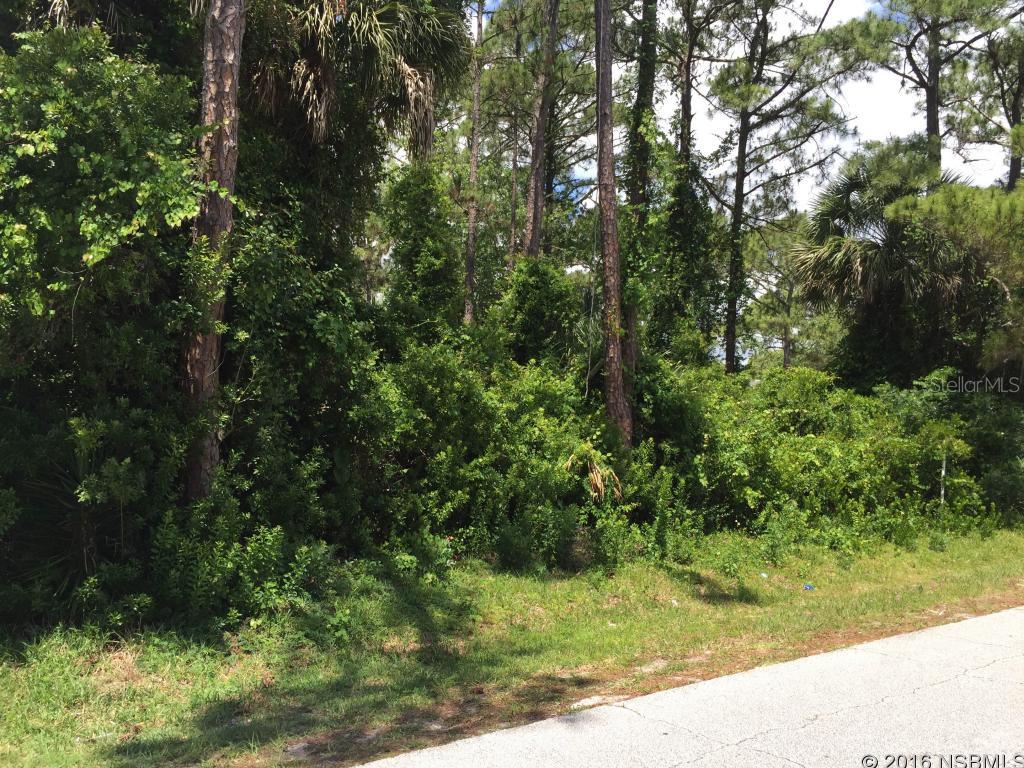 MAKE AN OFFER! LARGE ENOUGH FOR 1 DUPLEX. GOOD ELEVATION. VERIFY ZONING AND BUILDING REQUIREMENTS WITH CITY OF EDGEWATER.; Cleared: No ;Water: Available at Site