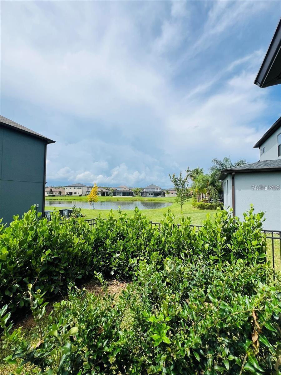ESTANCIA CORTONA - Residential Lease