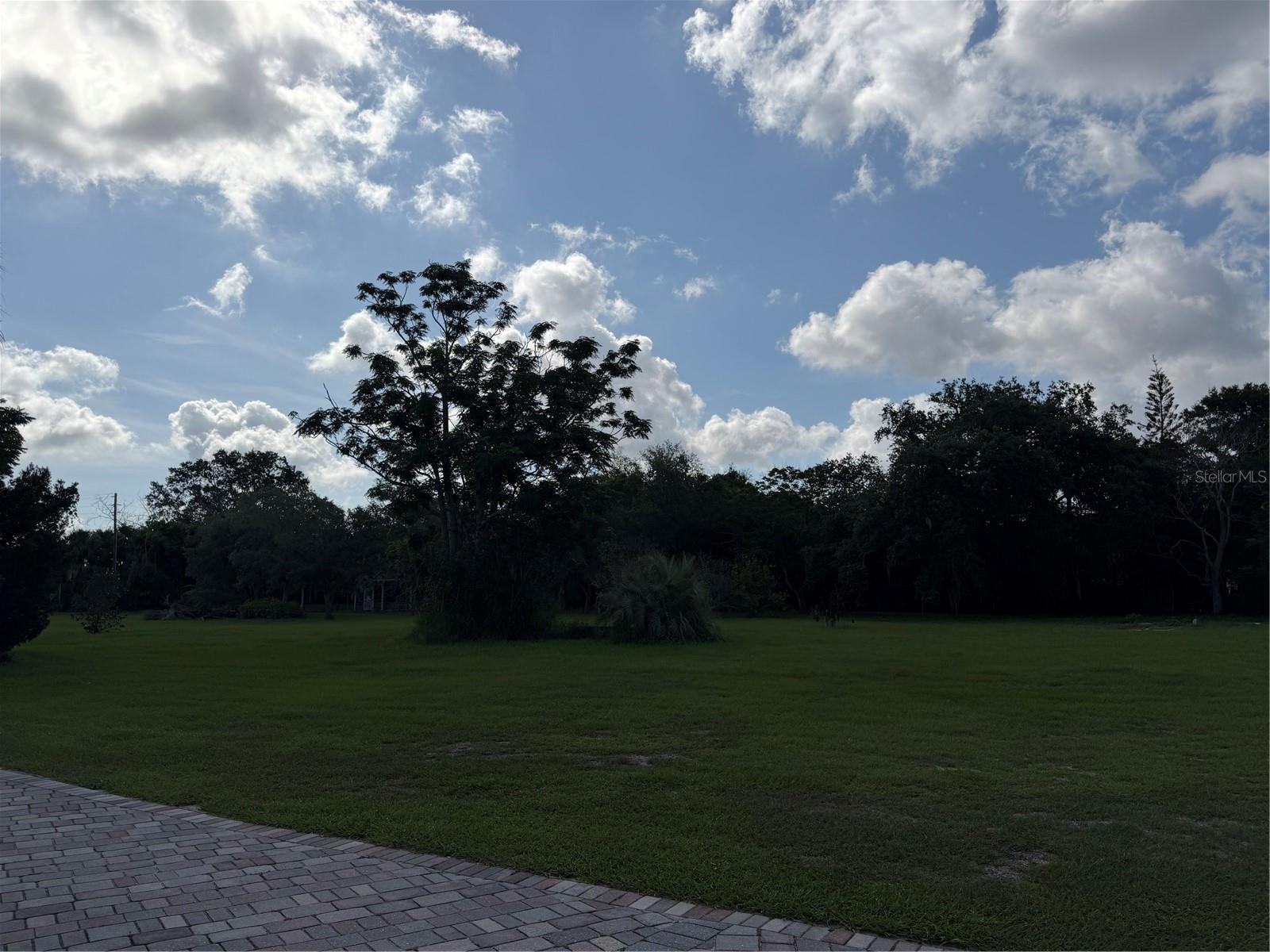 CARLTON CLUB INC REP - Commercial Sale