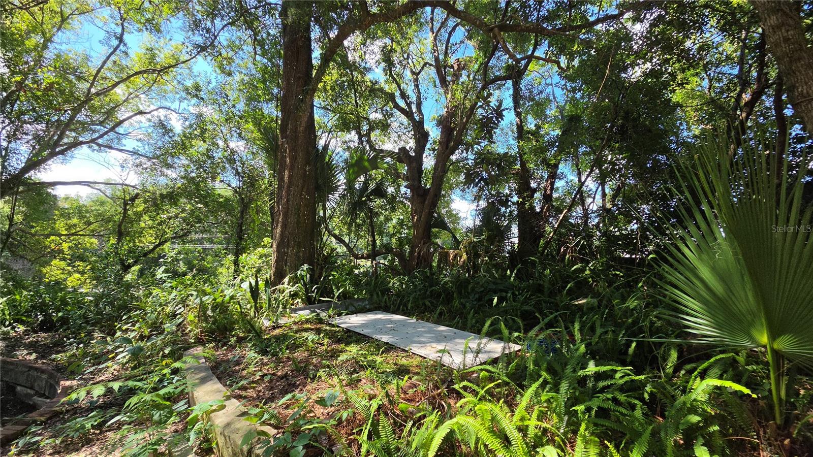 ROGERS DELAND - Commercial Sale