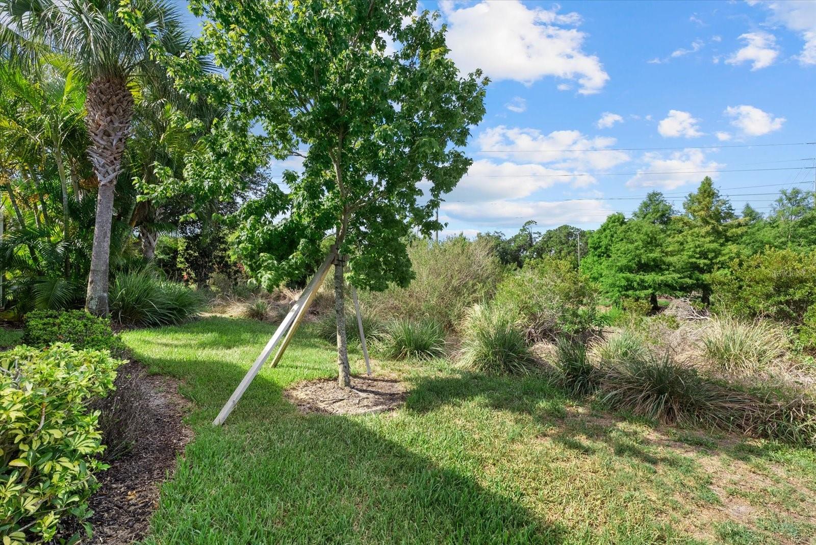 VERONA RESERVE REP - Residential