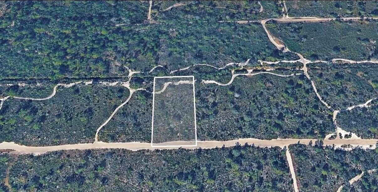 1.25-acre vacant lot in Lake Wales, Polk County, FL, offering excellent potential for future development, investment, or recreational use. Approximate dimensions are 165' x 335'. Parcel ID: 27-30-34-000000-031030. No flood zone or mapped wetlands. Cash purchase only. Buyer pays all closing costs. Priced to sell! CASH ONLY!