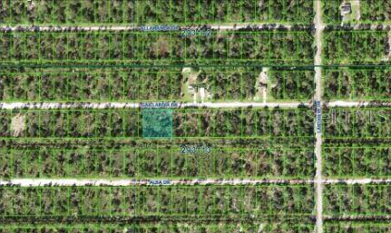 INDIAN LAKE ESTATES UNIT 09 REV - Land