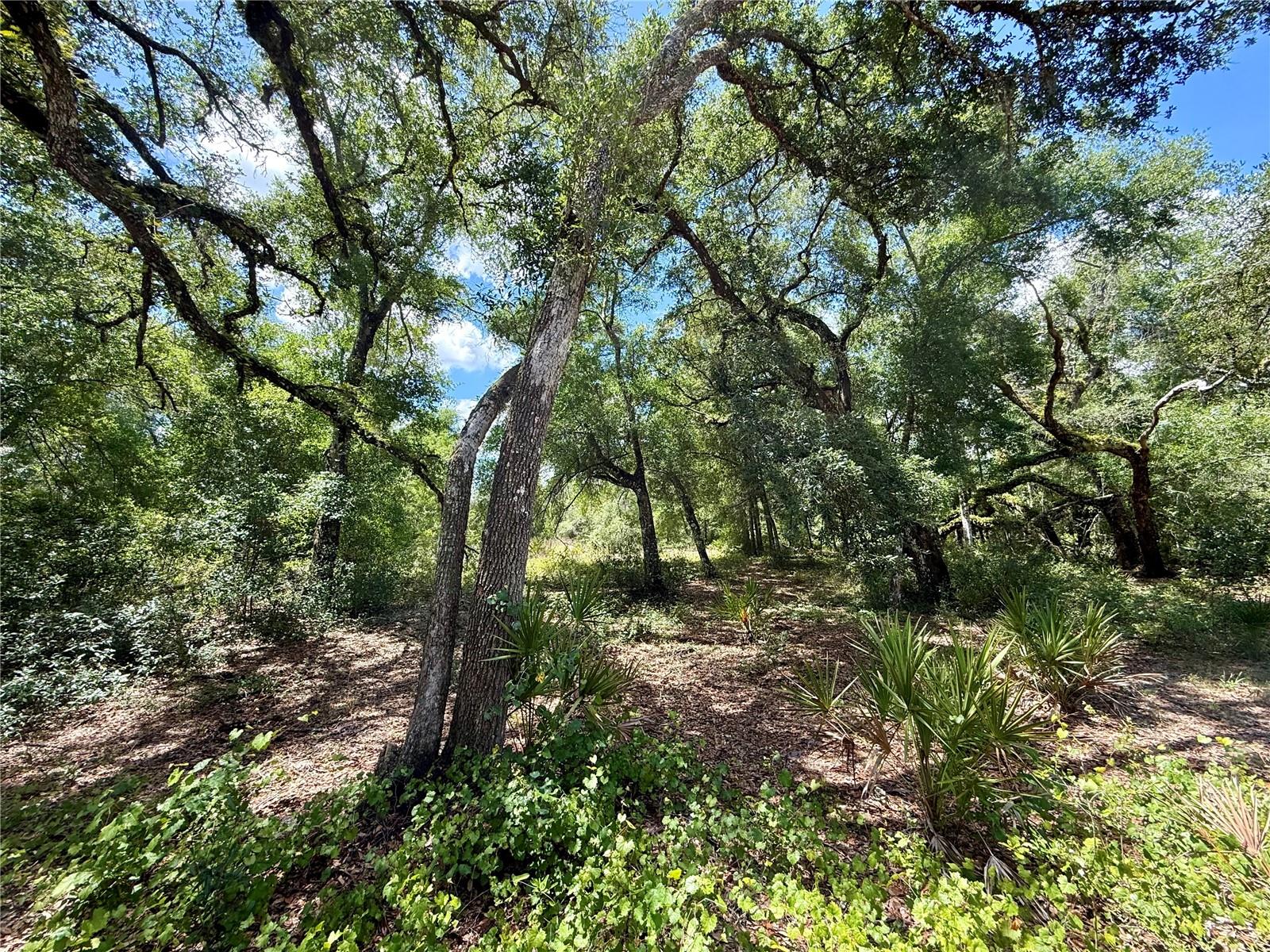 RIDGE MANOR ESTATE - Land