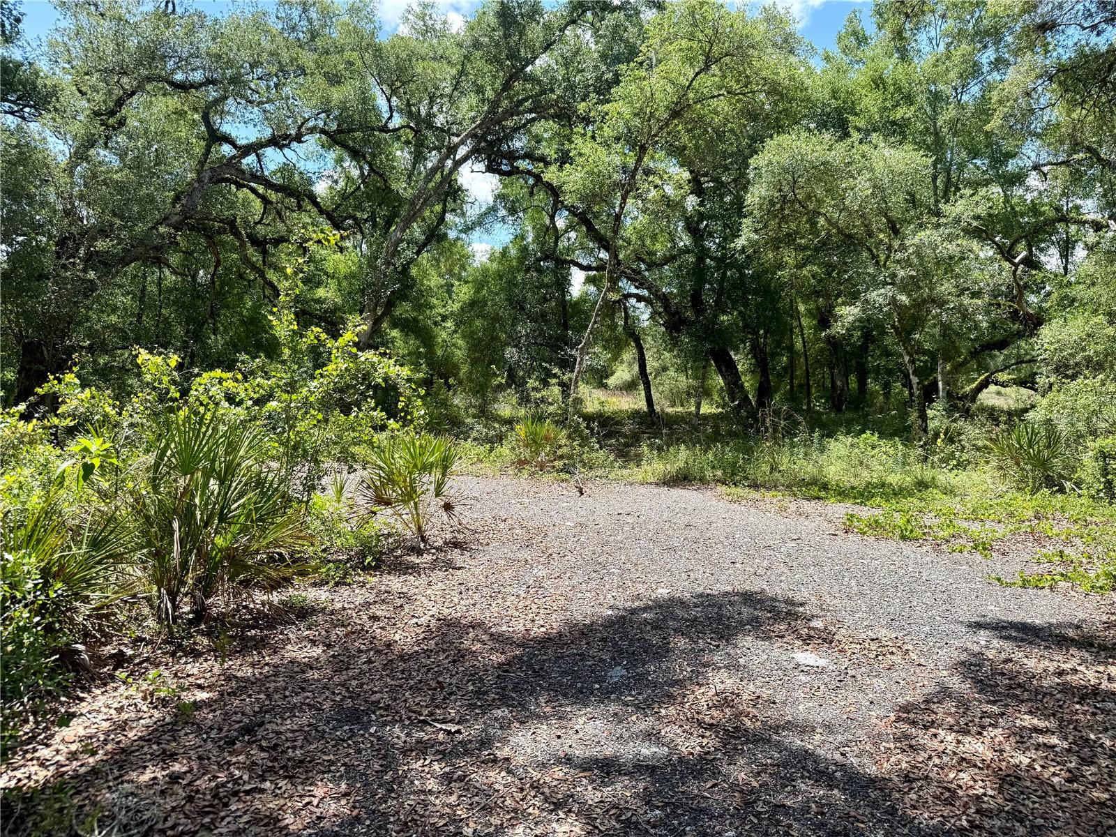 BUILD YOUR DREAM HOME on this beautiful 0.30-acre WATERFRONT LOT nestled in a growing area of eastern Hernando County. This wooded homesite offers the perfect blend of NATURAL BEAUTY & PRIVACY located on a DEAD-END ROAD, with plenty of room to create your ideal retreat. Zoned for single-family homes only, this property is located in an established residential community with easy access to I-75 and Highway 50, making commuting to Tampa, Orlando, and surrounding areas convenient. Whether you're ready to build now or invest for the future, this waterfront parcel offers an excellent opportunity in a rapidly developing location. Don't miss your chance to own a piece of Florida waterfront living!