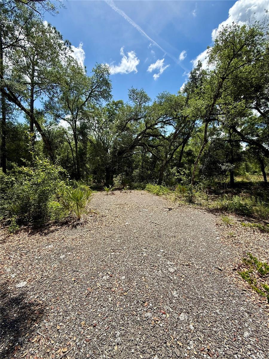 RIDGE MANOR ESTATE - Land