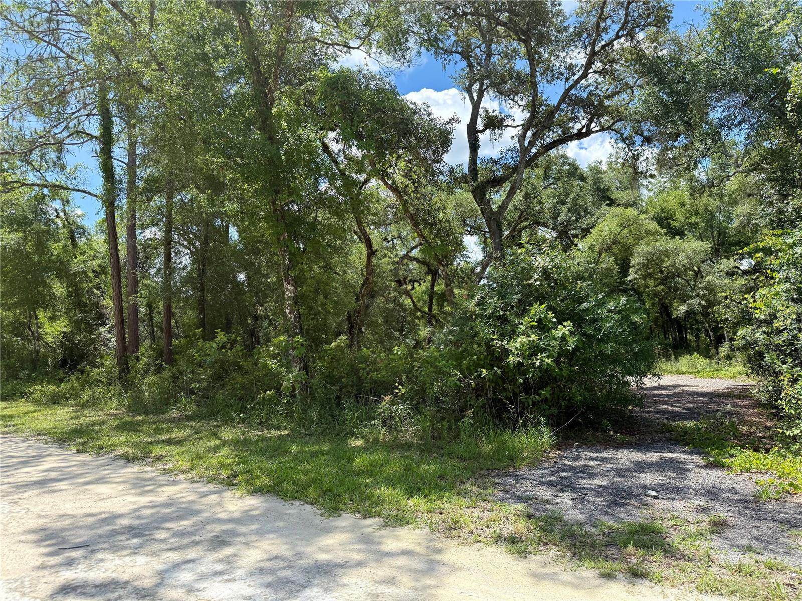 RIDGE MANOR ESTATE - Land