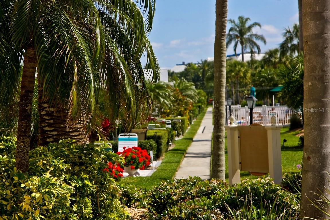 JAMAICA ROYALE - Residential