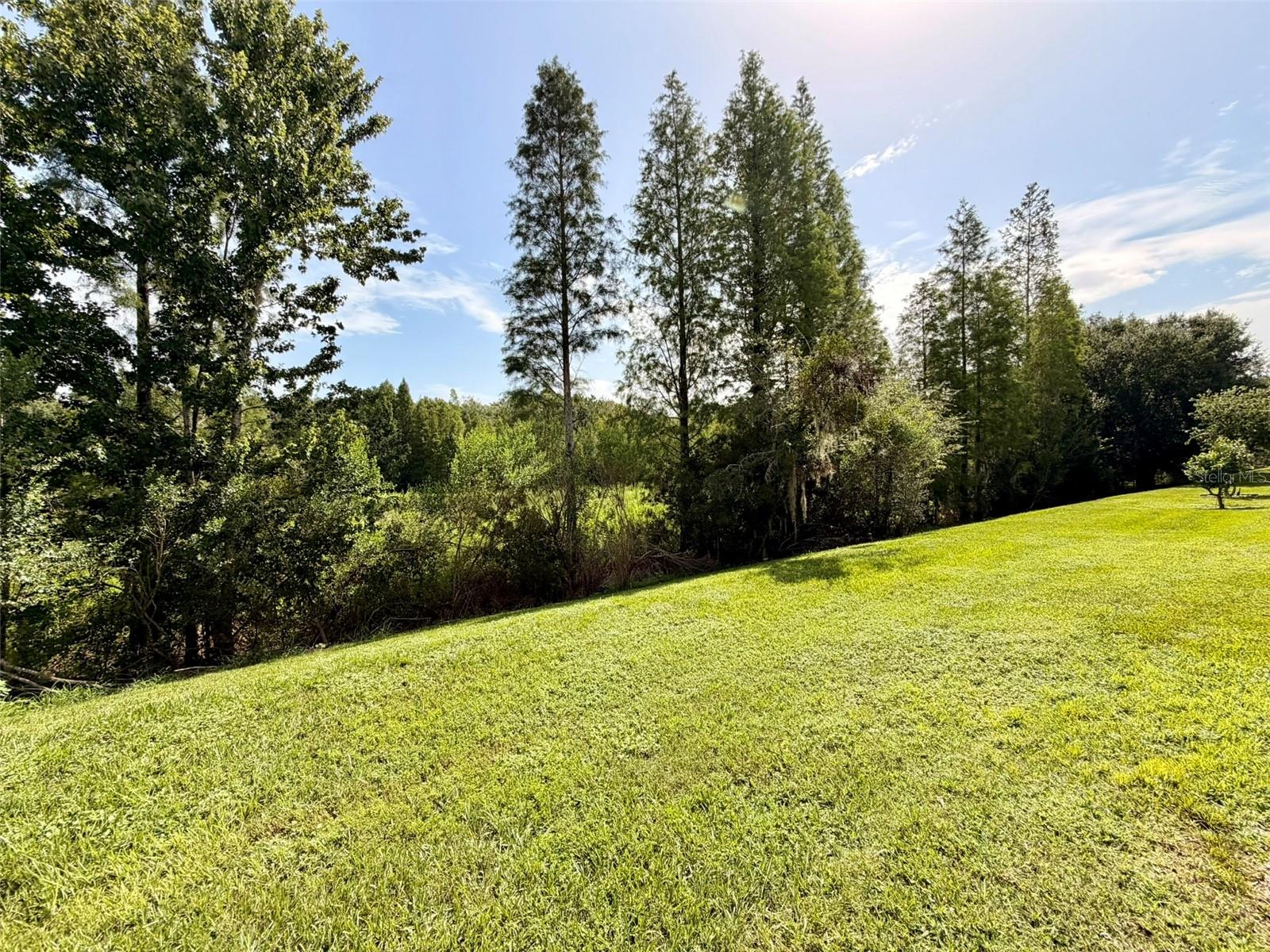 BAY AT CYPRESS CREEK - Residential