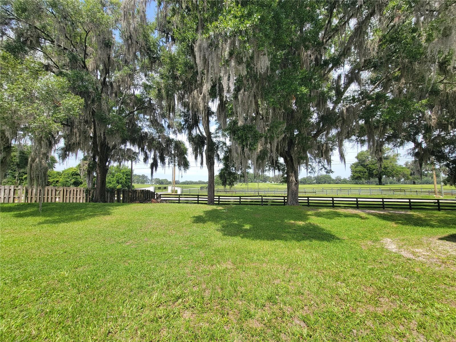 FALLS/OCALA 01 - Residential