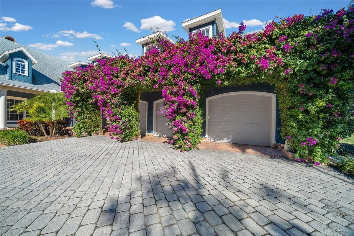TAVARES PENINSULA TRACTS A-G REP - Residential