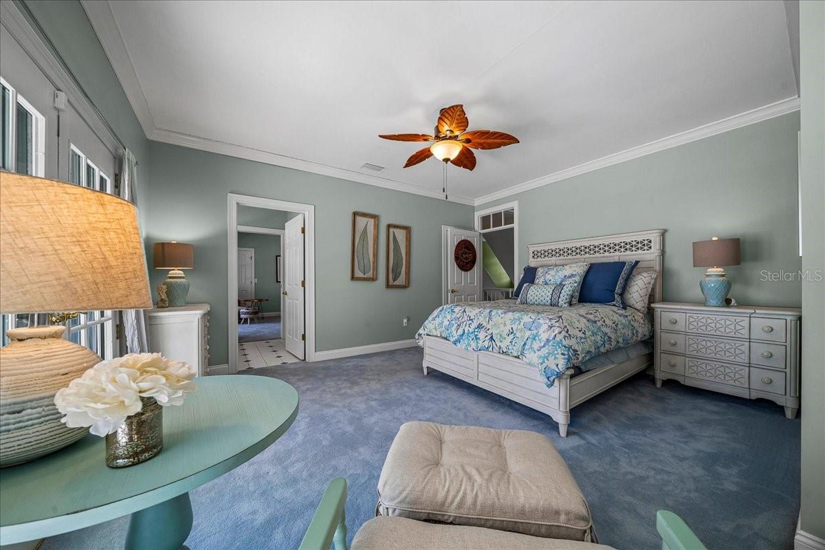 TAVARES PENINSULA TRACTS A-G REP - Residential