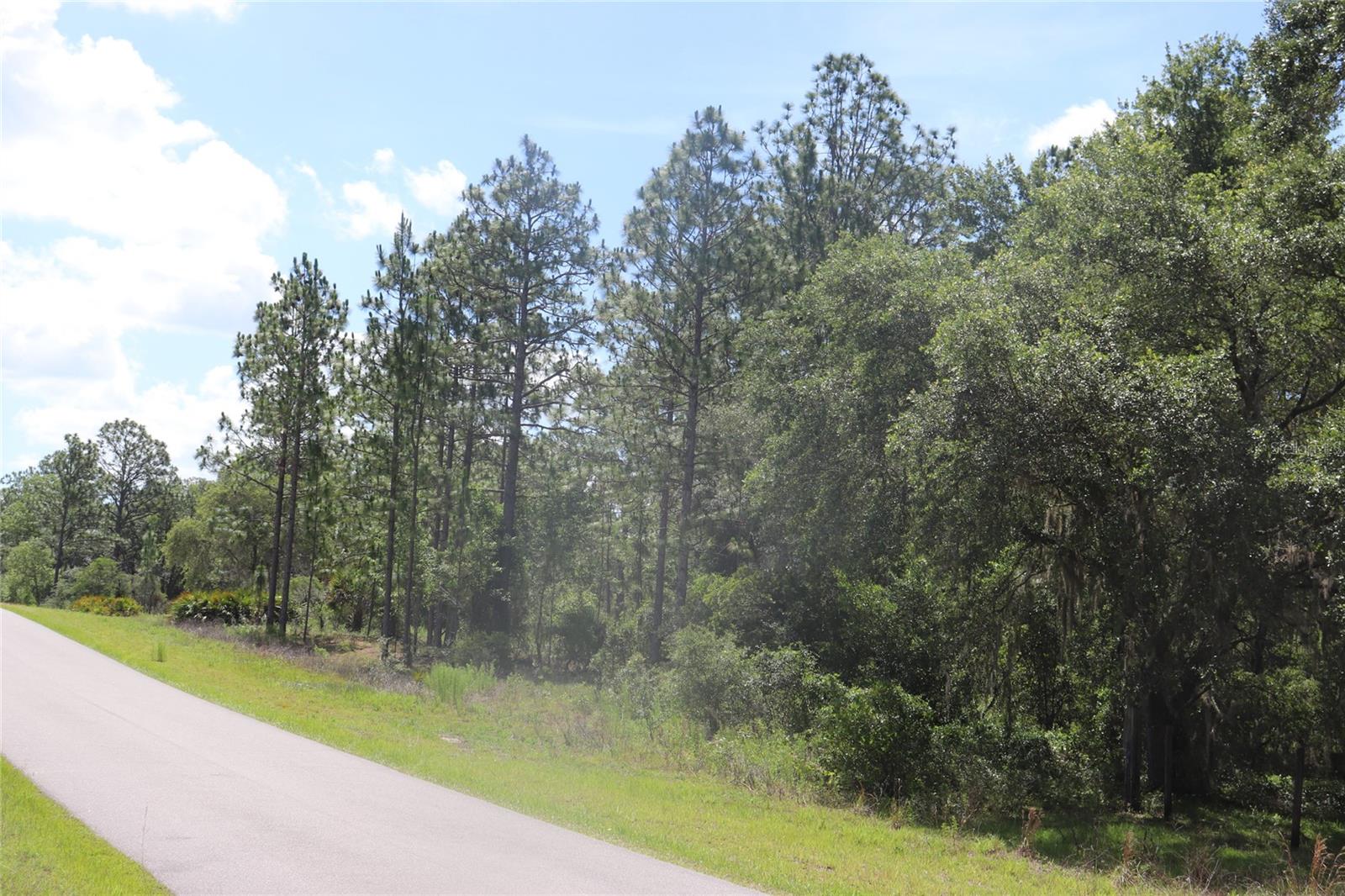 RAINBOW LAKES ESTATE - Land