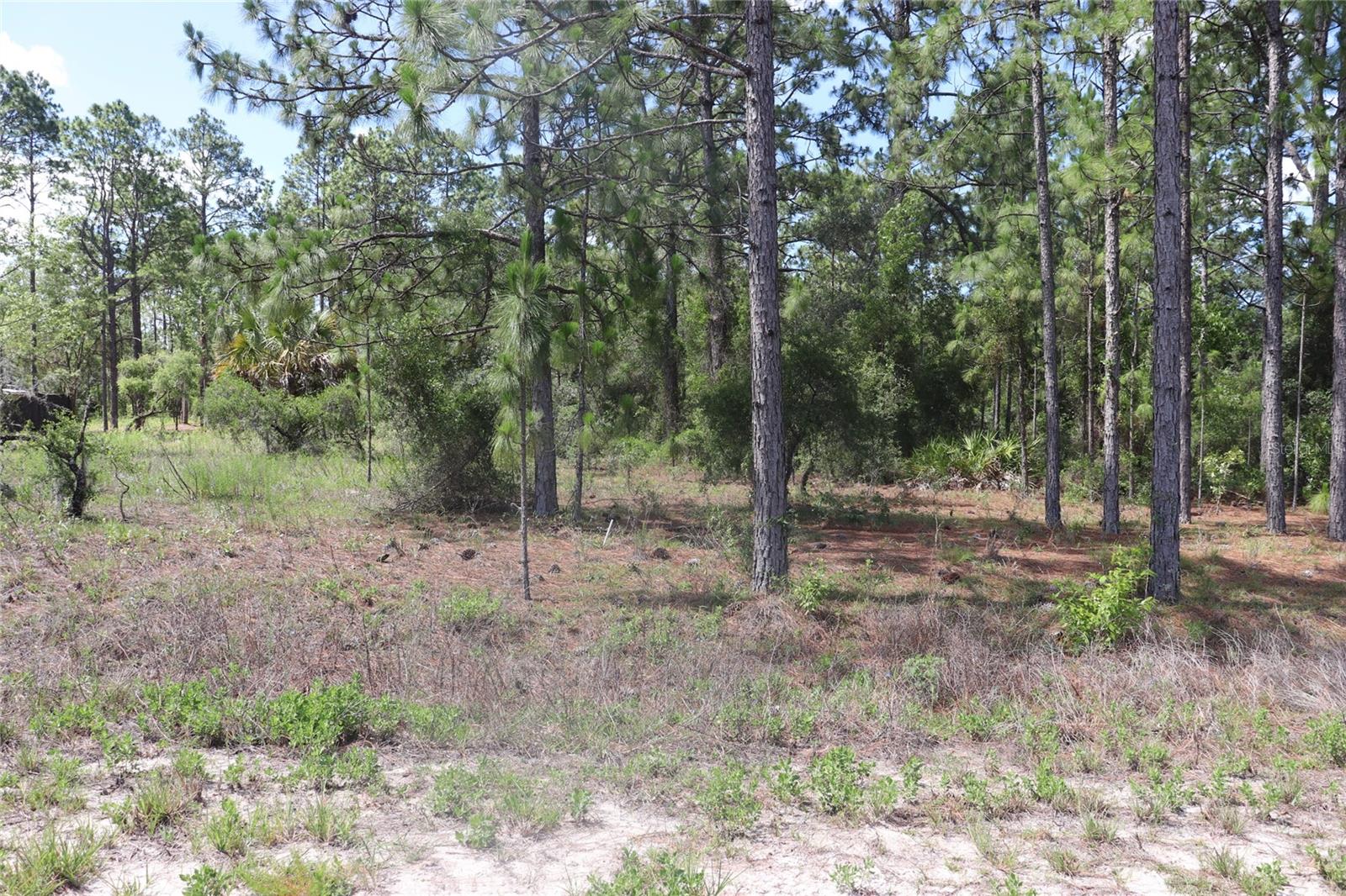 RAINBOW LAKES ESTATE - Land