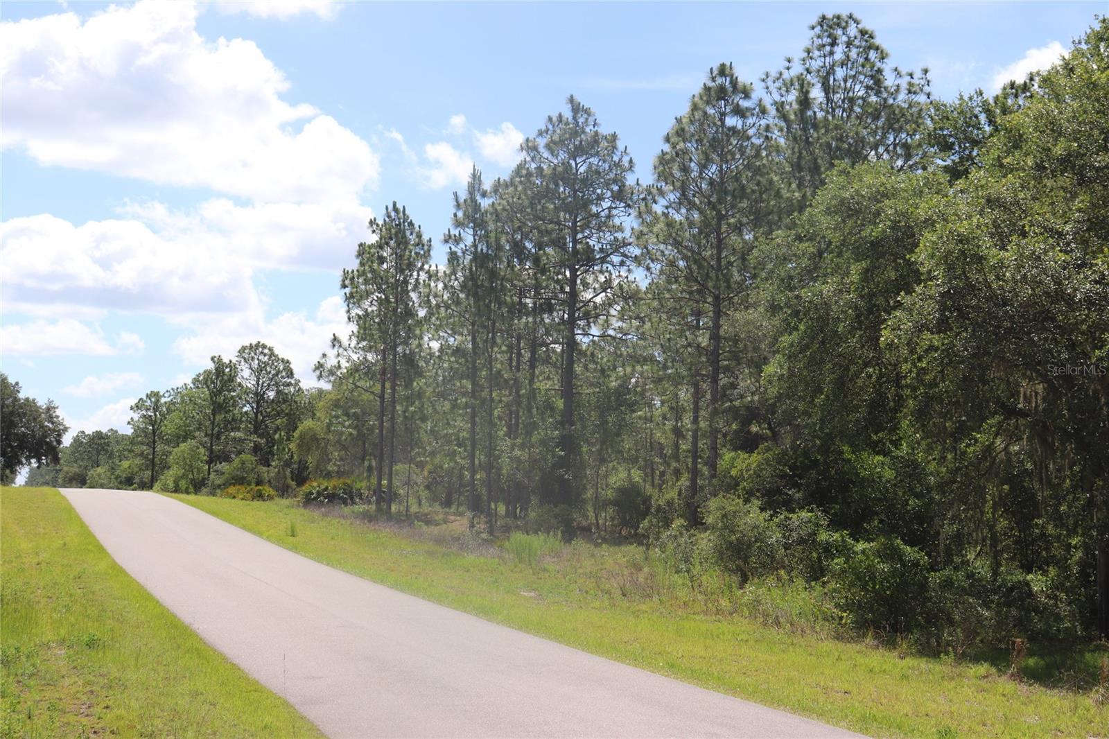 RAINBOW LAKE ESTATES ~Just Listed~ First Offering on market~ Beautiful 1-acre buildable lot in the growing Rainbow Lakes Estates area of Dunnellon. This property offers easy paved-road, no flood zone and it’s only about 20 minutes from the crystal-clear waters of Rainbow River. The area is known for peaceful settings, mature trees, abundant wildlife, and fabulous outdoor recreation. This spacious lot provides an ideal place to build your new home with plenty of privacy and room to spread out. Dunnellon offers convenient access to everyday amenities, along with the Rainbow River and Withlacoochee River, giving you the perfect blend of tranquility and nearby attractions. Don't miss the opportunity to create your ideal lifestyle in one of Dunnellon’s most desirable and up-and-coming communities.