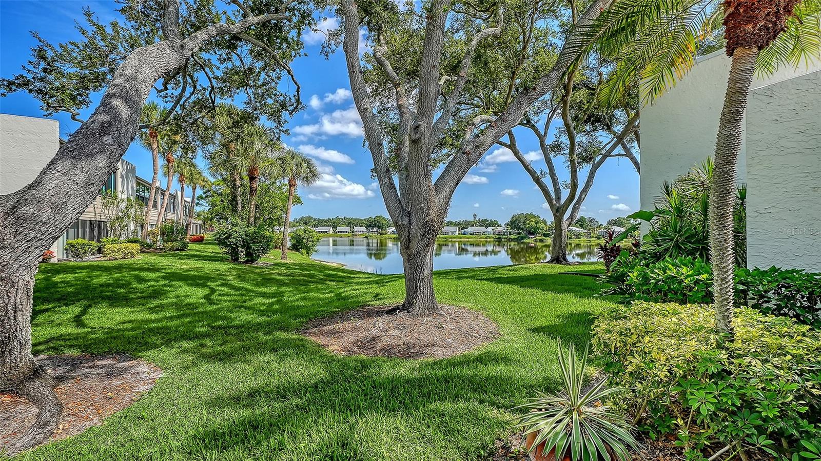 WILDEWOOD SPGS II-C - Residential
