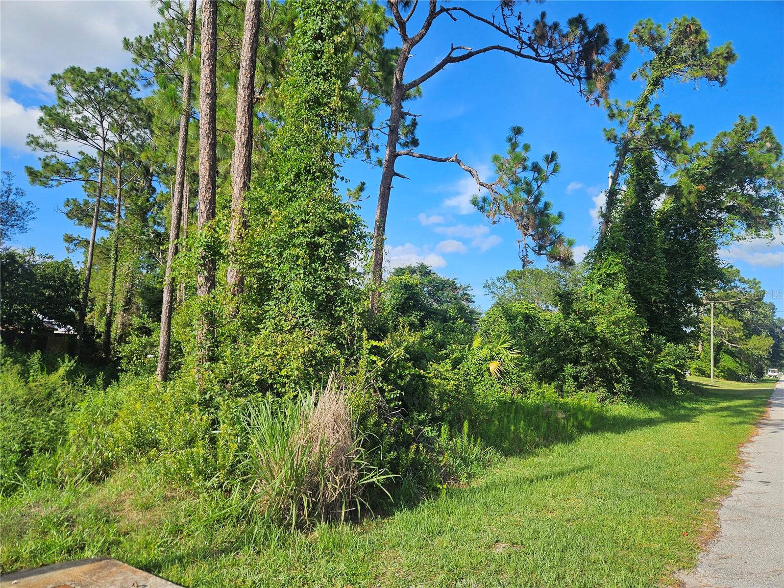 DELTONA LAKES UNIT 35 - Land