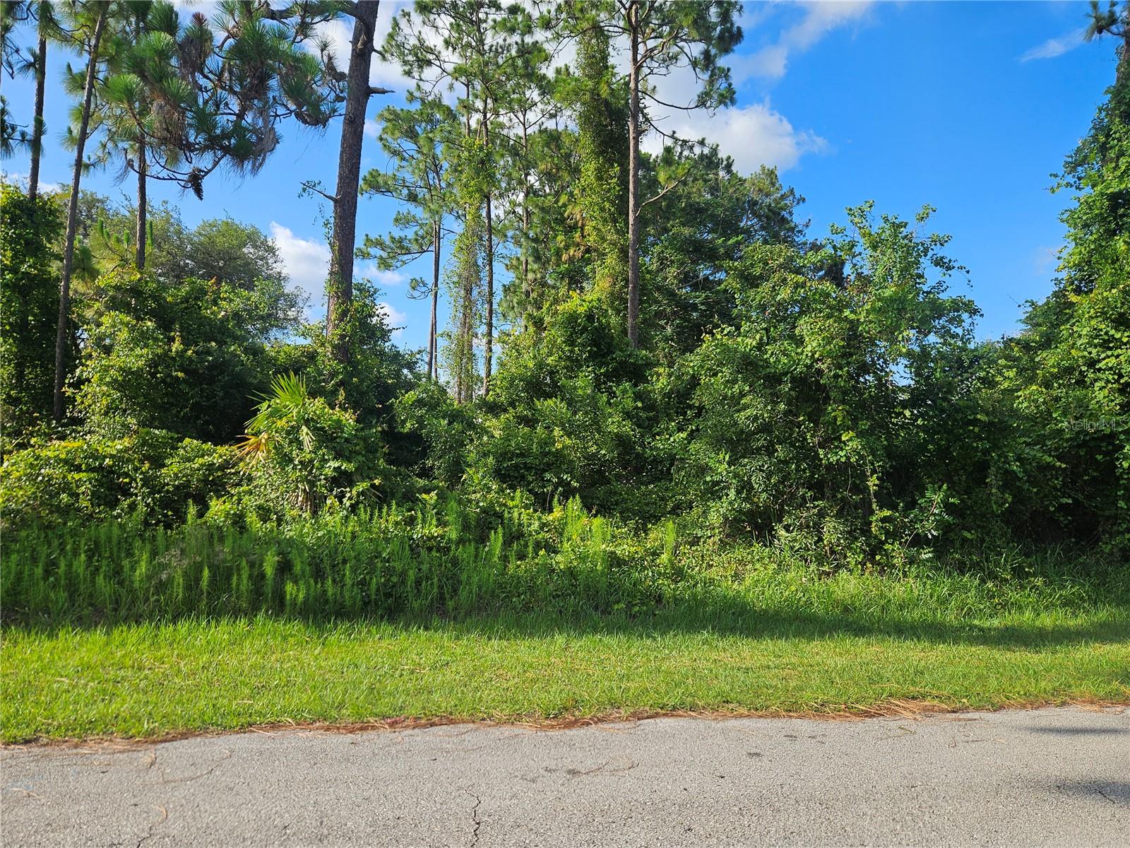 DELTONA LAKES UNIT 35 - Land