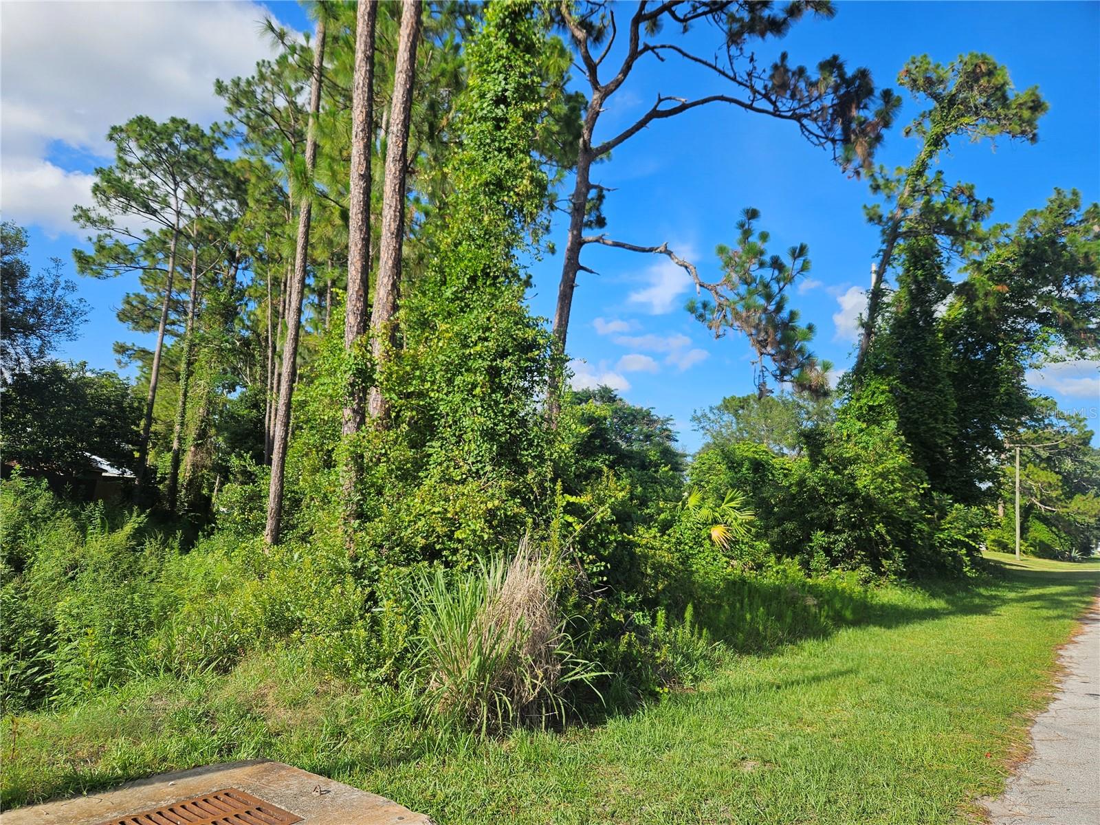 DELTONA LAKES UNIT 35 - Land
