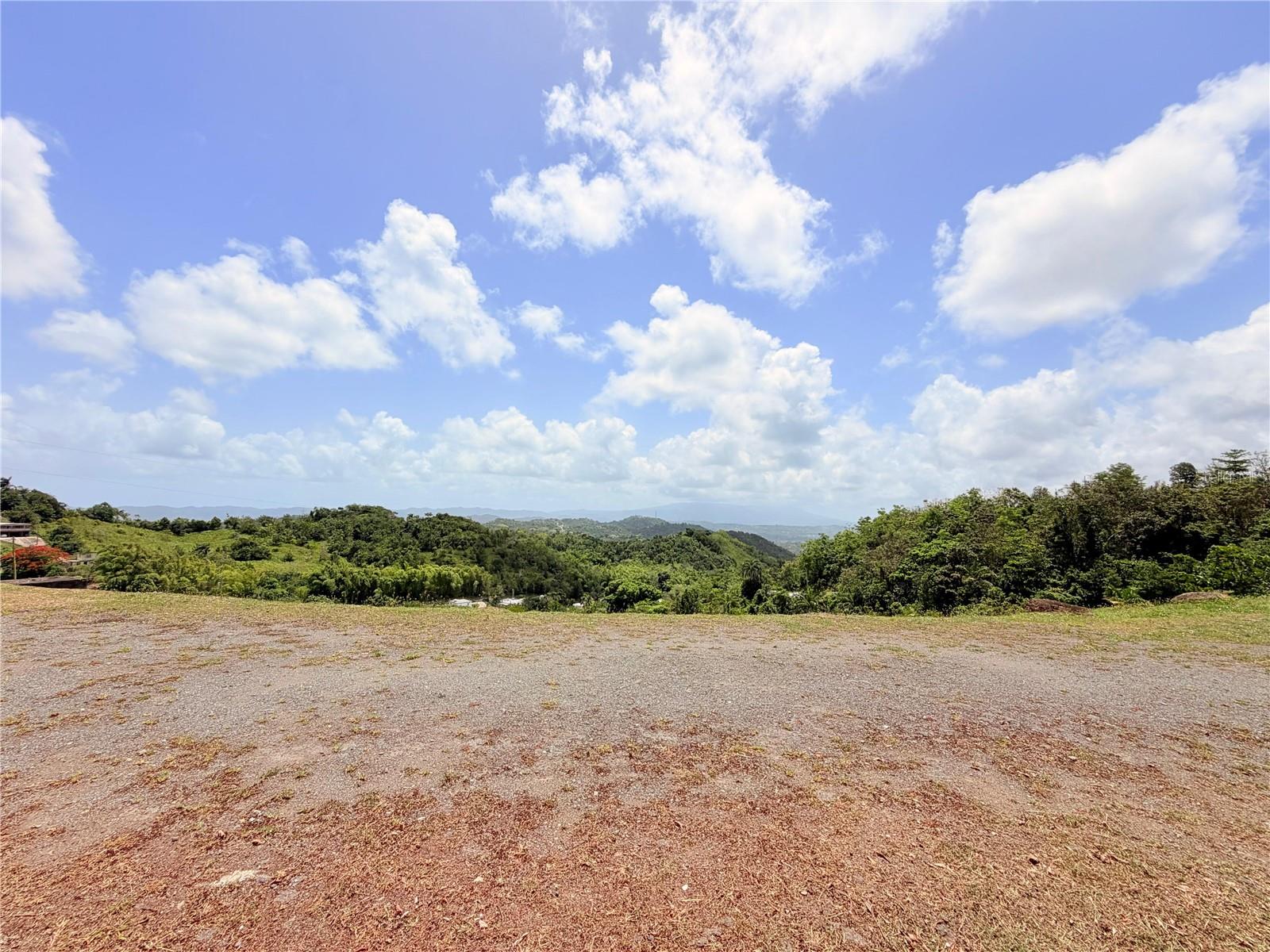 Approximately 1.5 cuerdas of land located in Barrio Quemados, San Lorenzo, positioned directly across from the well-known Sube y Baja
restaurant, offering excellent visibility and convenient access. This property is ideal for investors seeking to develop short-term rental units,
countryside lodging, or supplemental accommodations, thanks to its natural surroundings and beautiful open views. The land is clean, with
clearly marked boundary points, and includes improvements that represent significant savings for the buyer: water sourced from a drilled well (pozo incado), constructed septic system, and pre-installation work for future electrical service. Classified as R-G / SREP-A, the parcel allows agricultural uses, residential options, and supplemental lodging uses permitted under current land-use regulations. With mostly level topography, natural vegetation, and a peaceful rural setting, this property offers space, nature, and strong appreciation potential. Segregated and ready for development