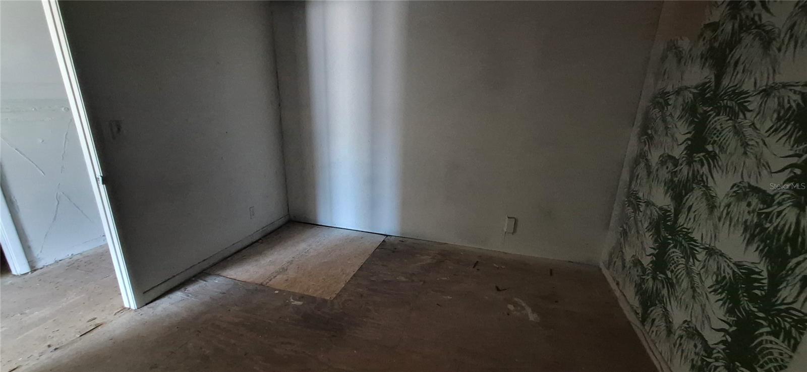 PINELLAS GROVES - Commercial Sale