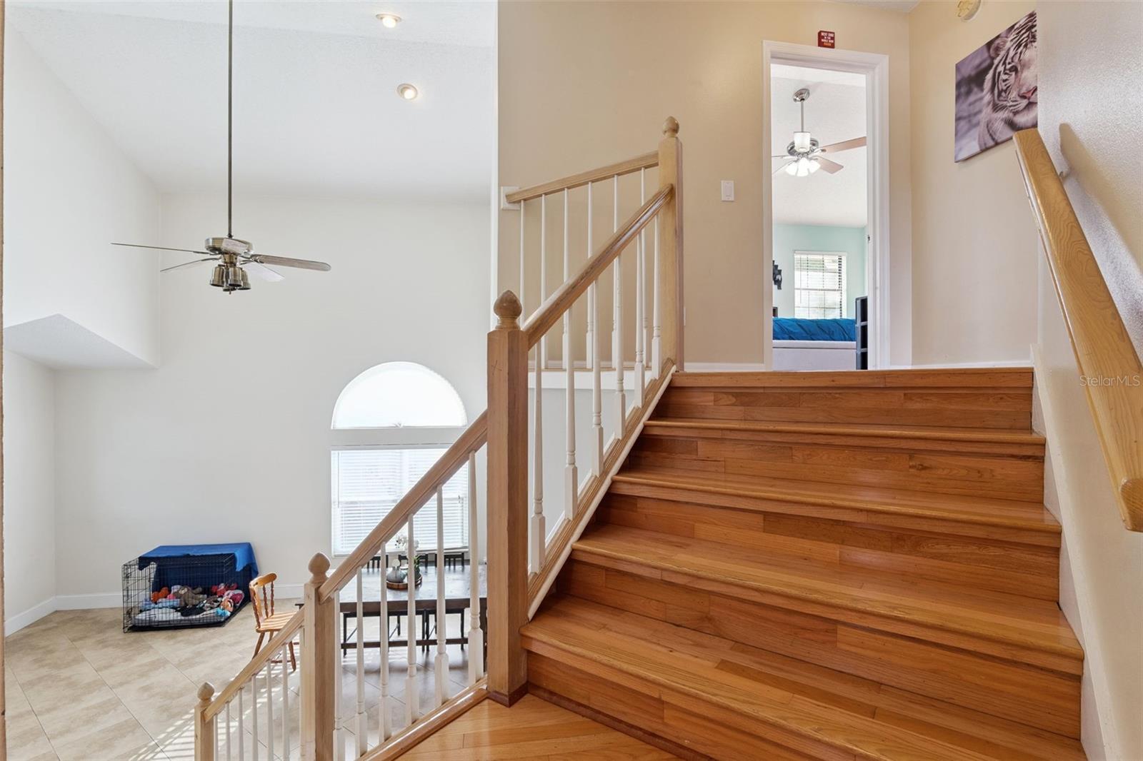 ROYAL ESTATES - Residential