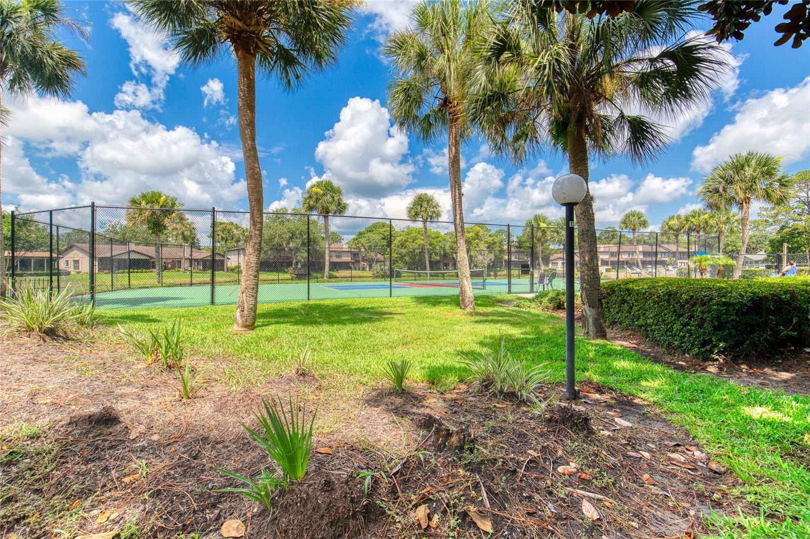 TRAILS NORTH FORTY REP - Residential