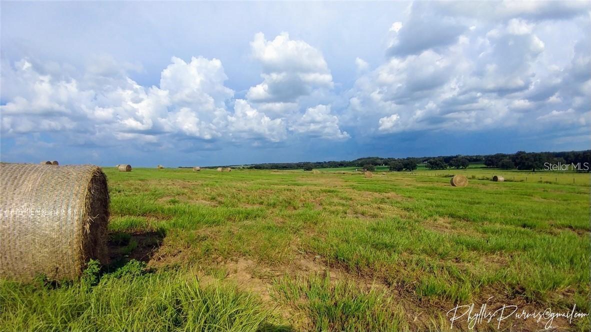 WHEELER FARMS - Land
