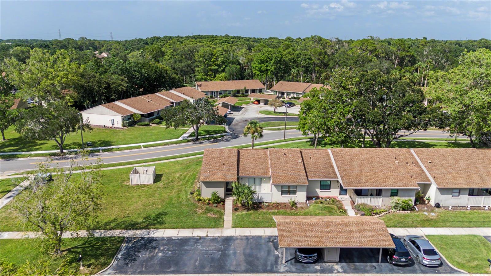 EAST LAKE WOODLANDS CLUSTER HOMES - Residential
