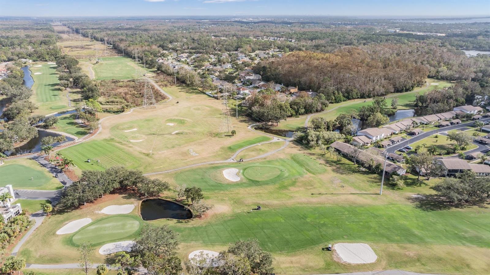 EAST LAKE WOODLANDS CLUSTER HOMES - Residential